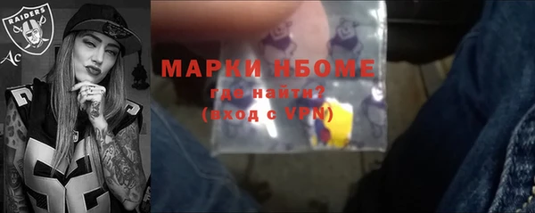 стаф Алексин