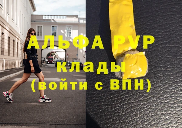 стаф Алексин
