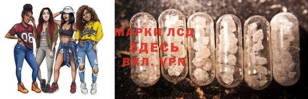 стаф Алзамай