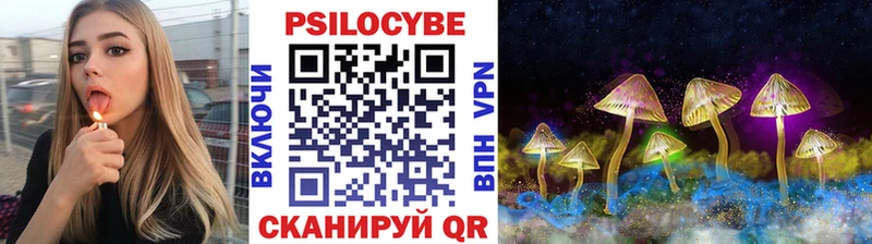 Псилоцибиновые грибы Psilocybe  MEGA как войти  Всеволожск 